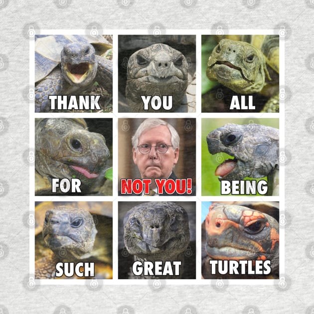 Thank You All for being Such Great Turtles (except Moscow Mitch) by Tainted